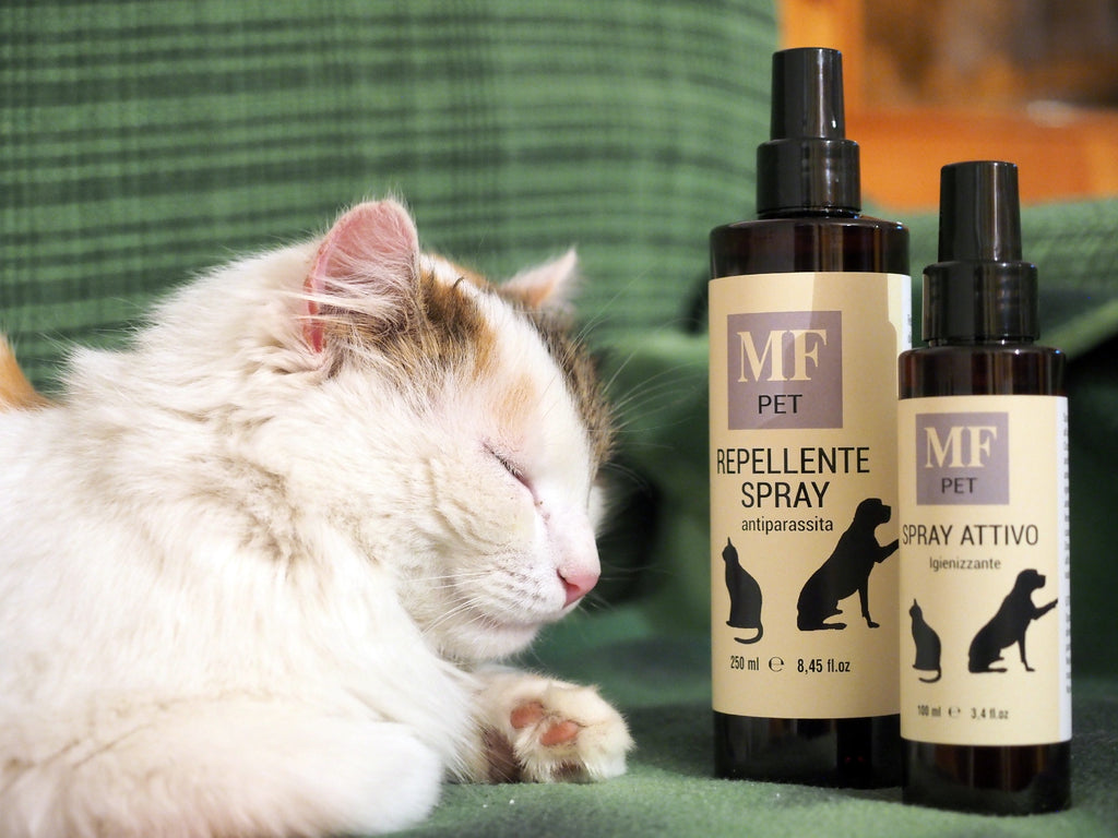 Repellente spray antiparassita per cane e gatto