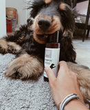 Shampoo secco per cane e gatto 100 ml
