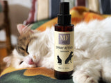 MF PET - Active sanitizing spray for dog and cat